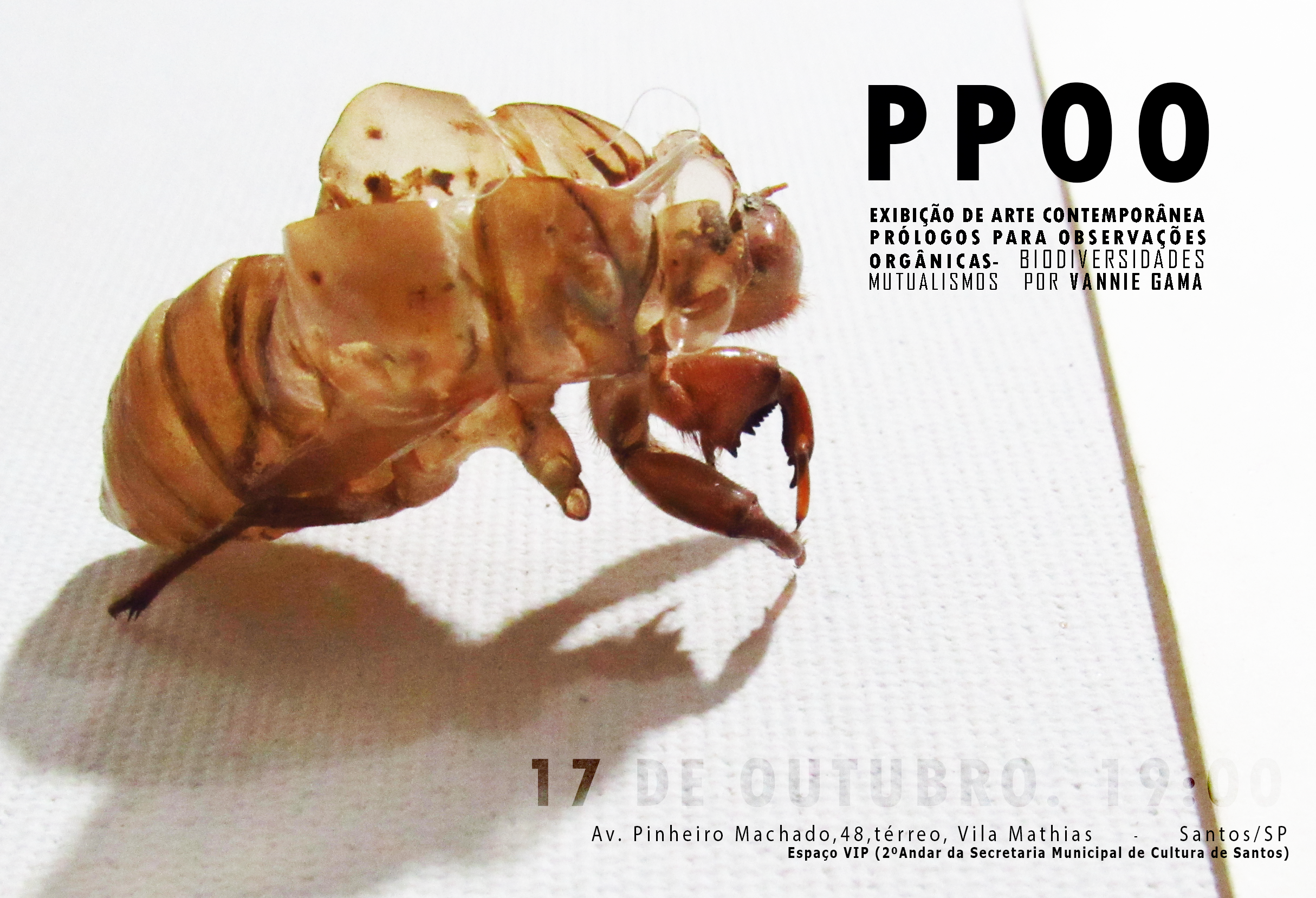 Instalação ”canto das BULE-BULES”