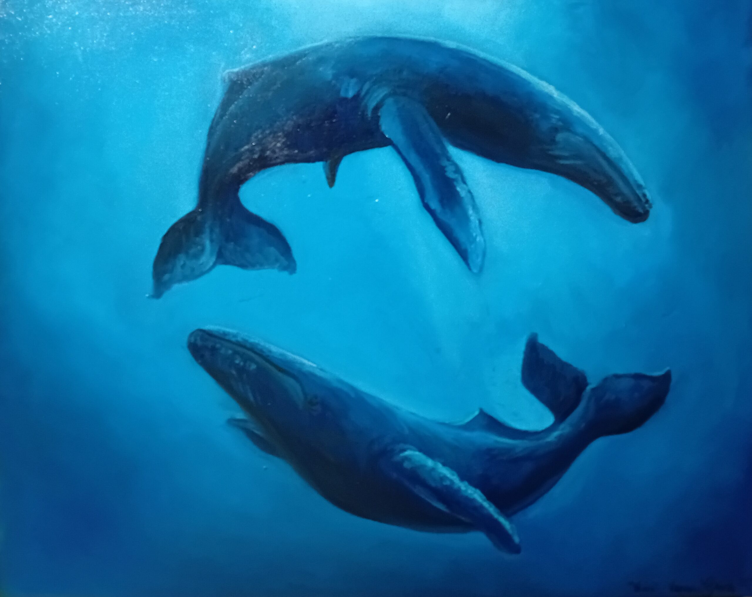 Azul: Atualizações do Atelier, Obras em Coleção pública e participação em Podcast