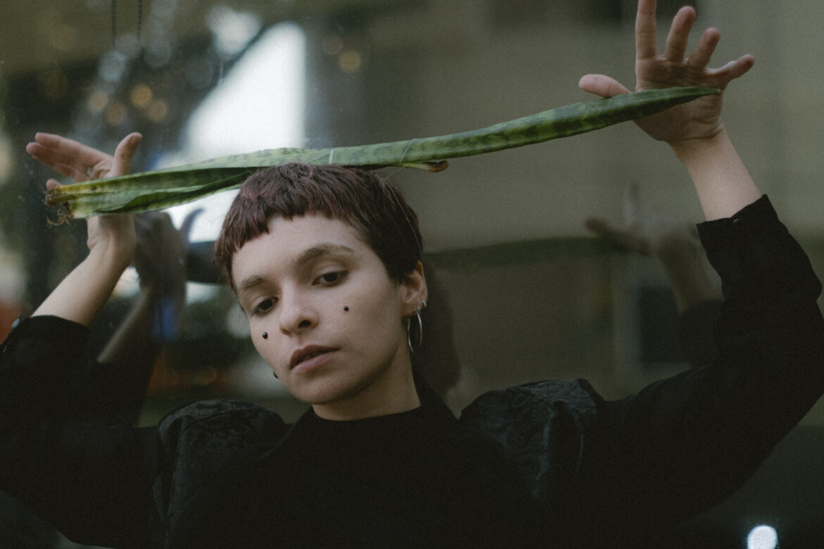 Book “Leão e o Unicórnio” and A Fashion Film: Art is a constant whisper in revolutions.